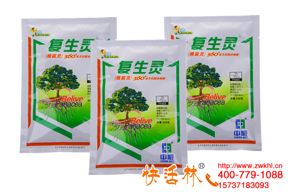 甘肅隴南花椒樹(shù)大雨導(dǎo)致根腐病快活林來(lái)治療
