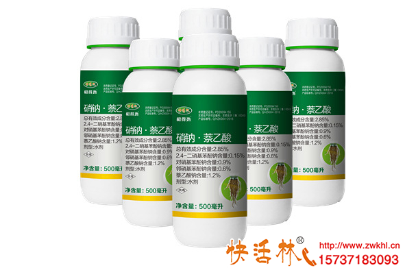 草莓移栽定根恢復澆快活林植物生根濟根得勁恢復快抗病防爛根
