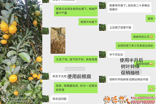 快活林根得勁生根劑菌地帶菌肥養(yǎng)護(hù)