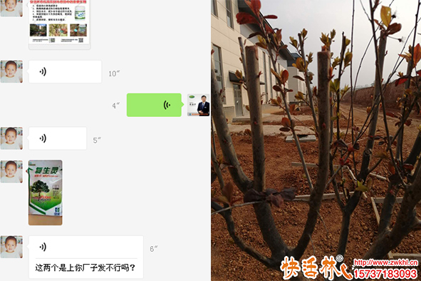 新疆快活林復(fù)生靈