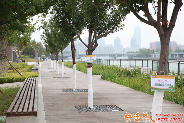 樹(shù)干涂白用什么涂白劑？噴施涂白劑哪種好？