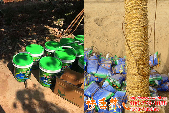 代理園林養(yǎng)護產(chǎn)品政策支持前景不錯，快活林見效快農(nóng)資人推薦