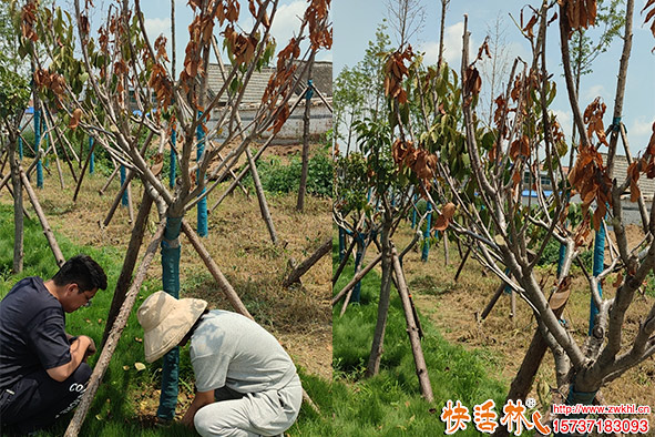 快活林防曬指導